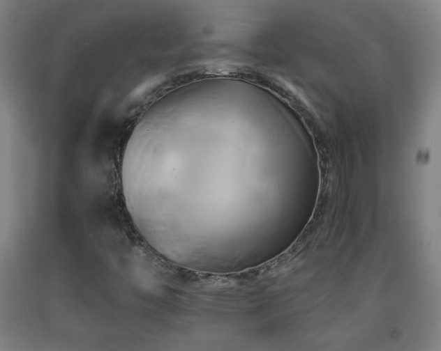 X0000093241446200709261658