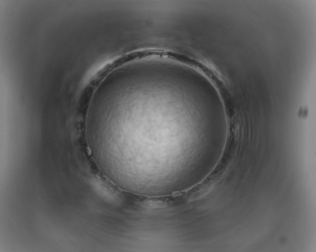 X0000093241448200709261658