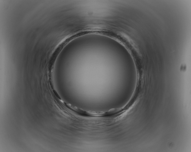 X0000093241449200709261658