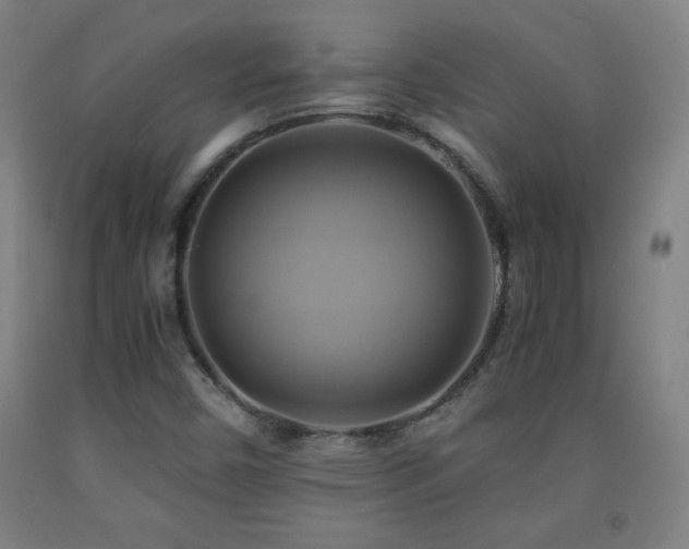 X0000093241450200709261658