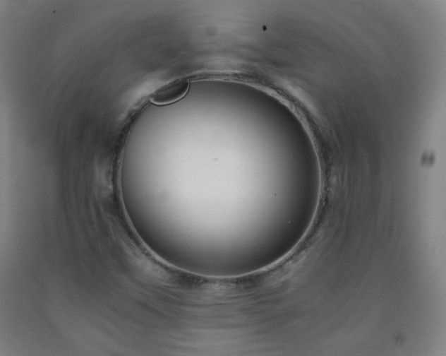 X0000093241451200709261658