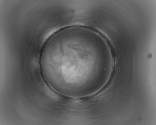 X0000093241452200709261658
