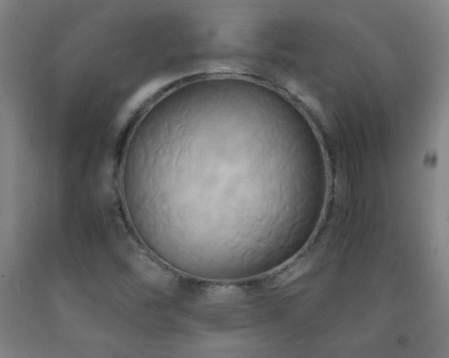 X0000093241454200709261658