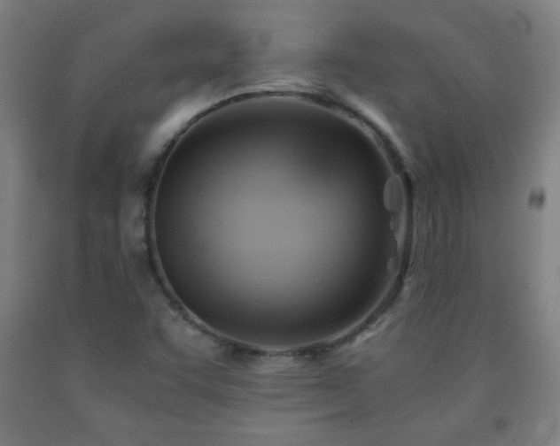 X0000093241455200709261658