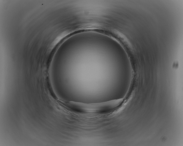 X0000093241457200709261658