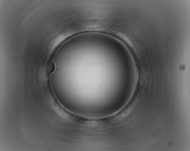 X0000093241458200709261658
