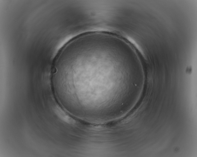 X0000093241460200709261658