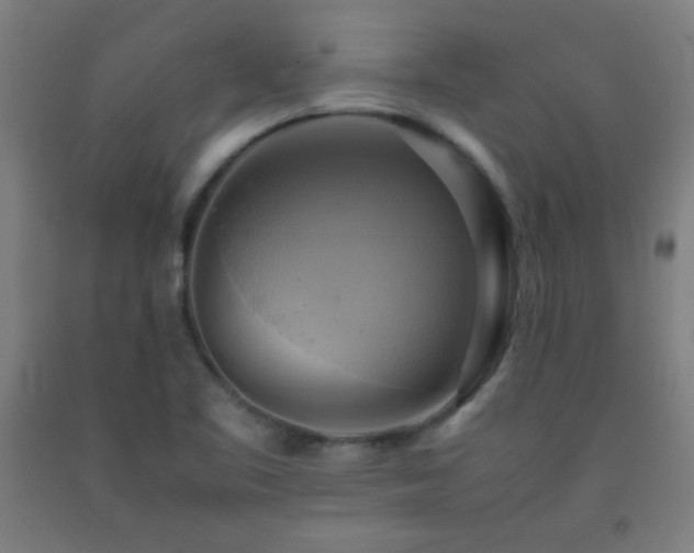X0000093241461200709261658