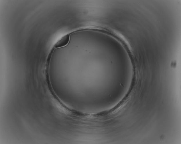 X0000093241463200709261658