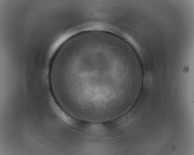 X0000093241464200709261658