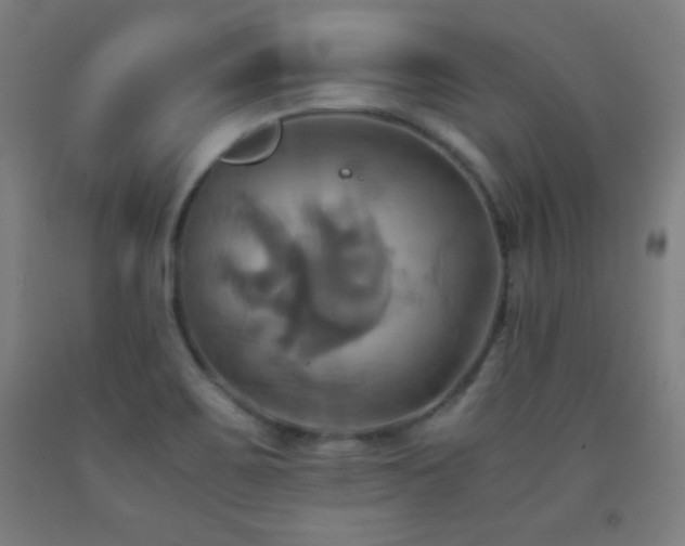 X0000093241467200709261658