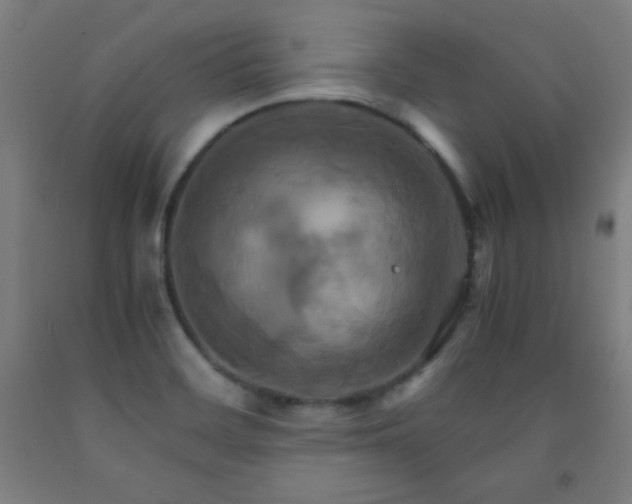 X0000093241468200709261658