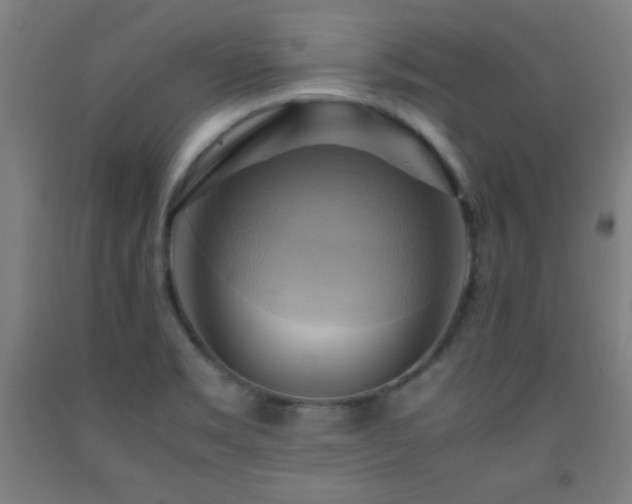 X0000093241469200709261658