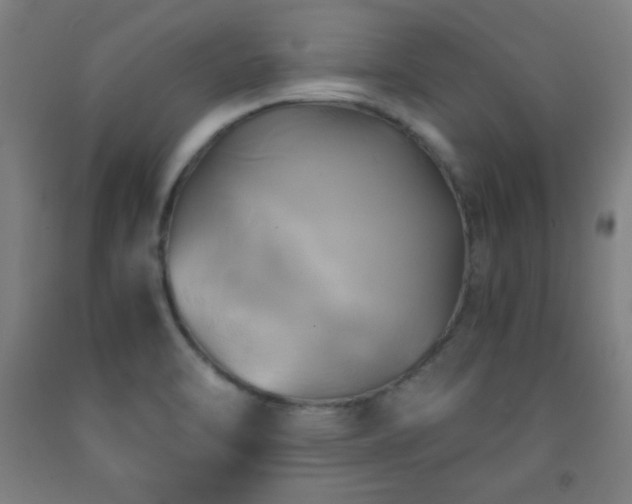 X0000093241470200709261658