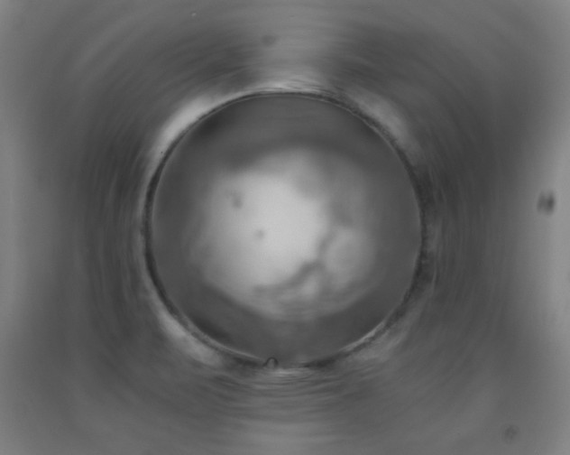 X0000093241471200709261658