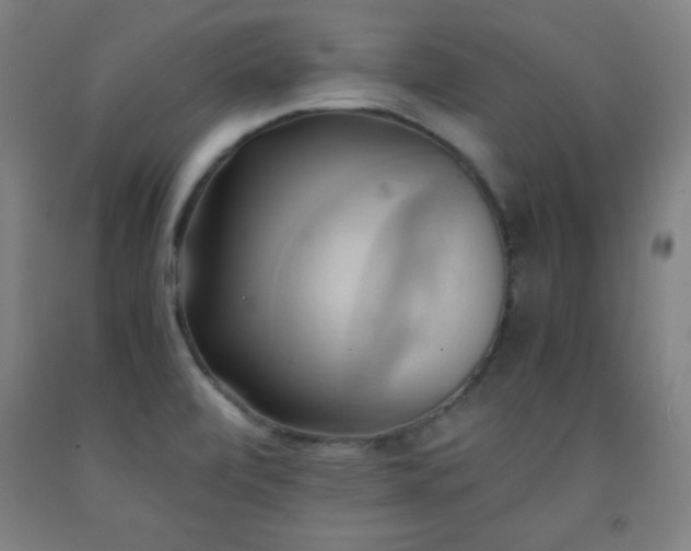 X0000093241472200709261658