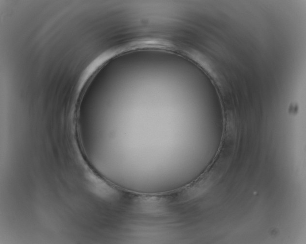 X0000093241474200709261658
