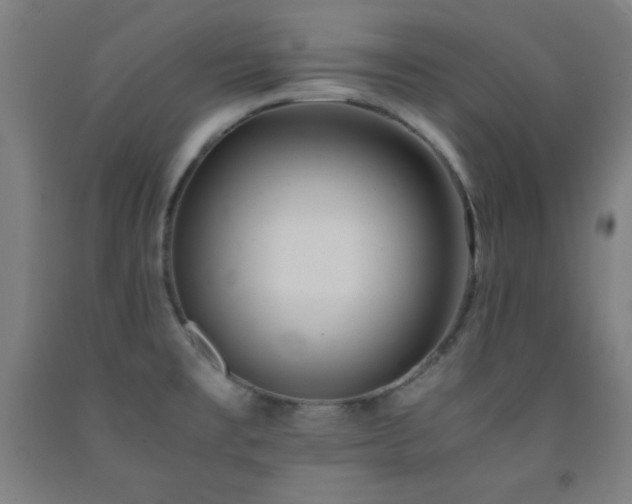 X0000093241477200709261658