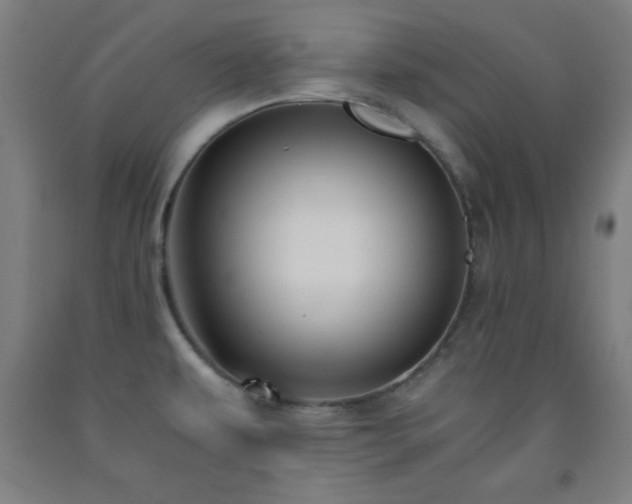 X0000093241479200709261658