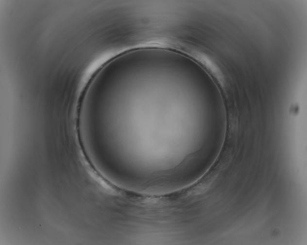 X0000093241480200709261658