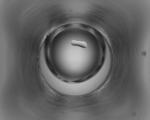 X0000093241481200709261658