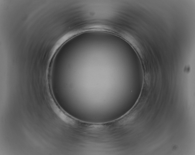 X0000093241482200709261658