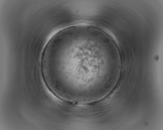 X0000093241483200709261658