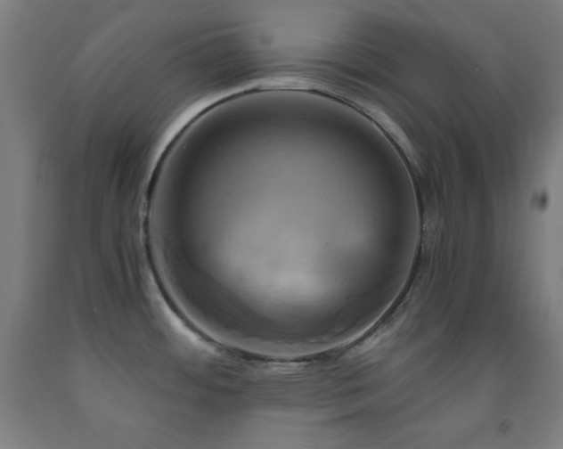 X0000093241484200709261658