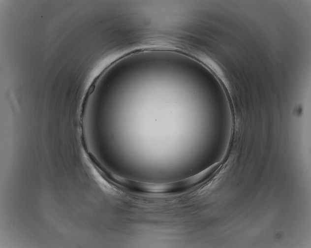 X0000093241485200709261658