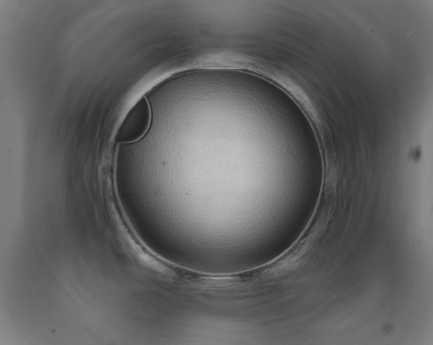 X0000093241486200709261658