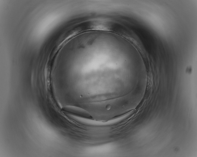 X0000093241487200709261658