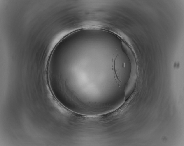 X0000093241488200709261658