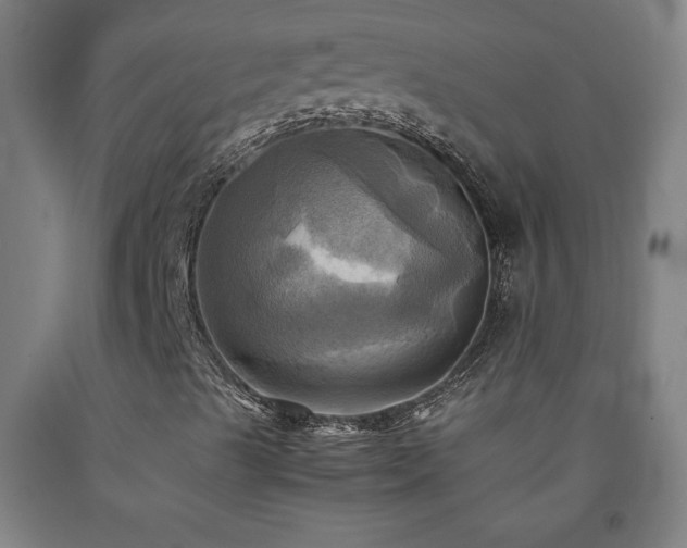 X0000093241489200709261657