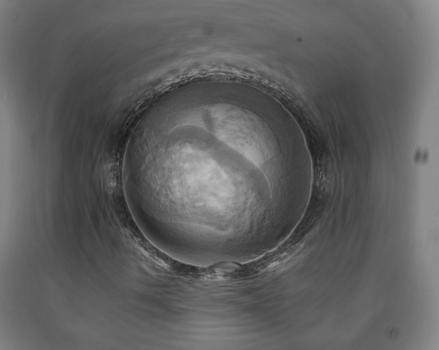 X0000093241490200709261657