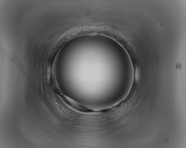 X0000093241492200709261657