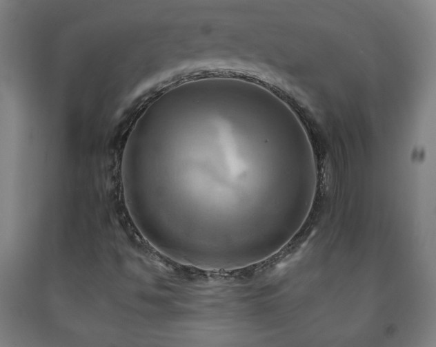 X0000093241494200709261657