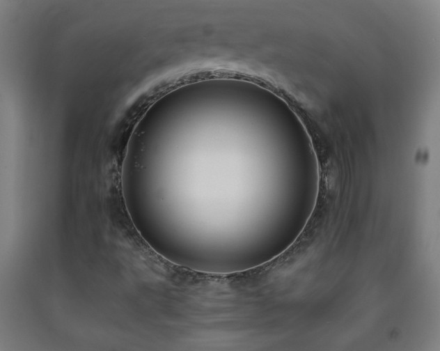 X0000093241495200709261657