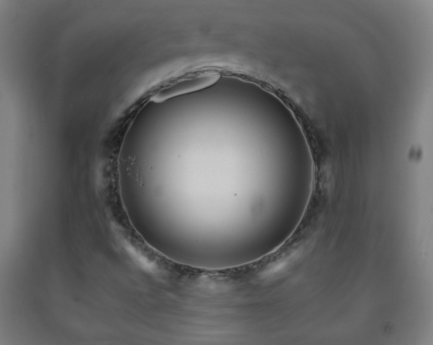 X0000093241496200709261657