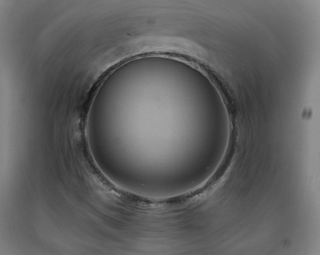X0000093241497200709261657