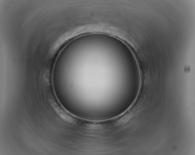 X0000093241499200709261657