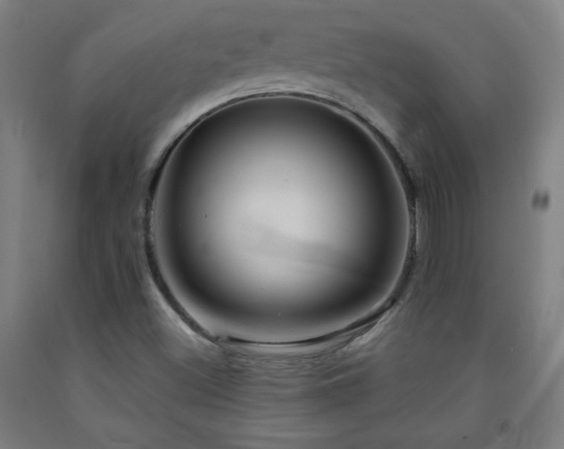 X0000093241500200709261657
