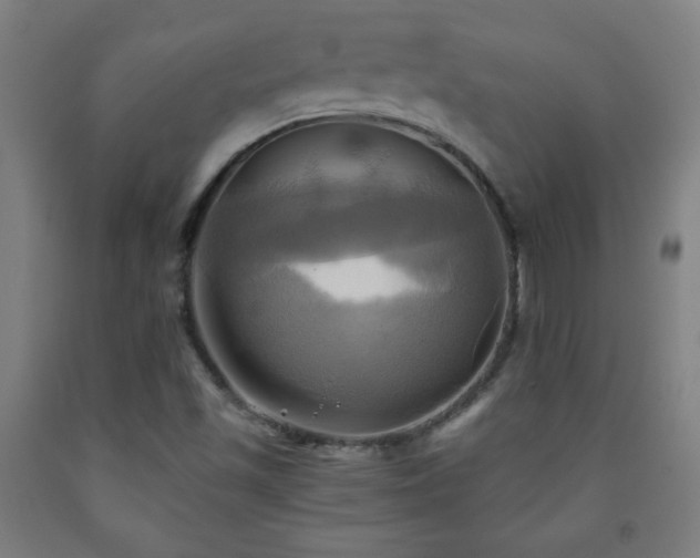 X0000093241501200709261657