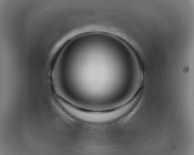 X0000093241502200709261657