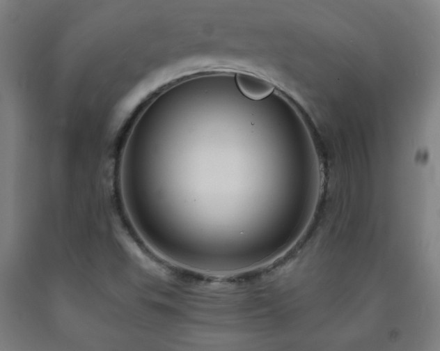 X0000093241503200709261657
