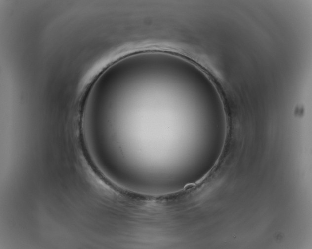 X0000093241504200709261657