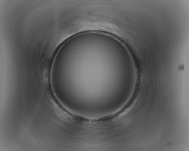 X0000093241505200709261657