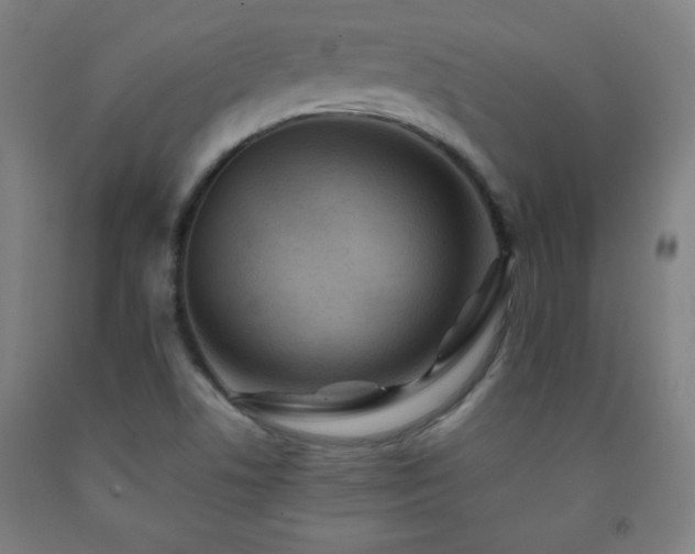 X0000093241506200709261657
