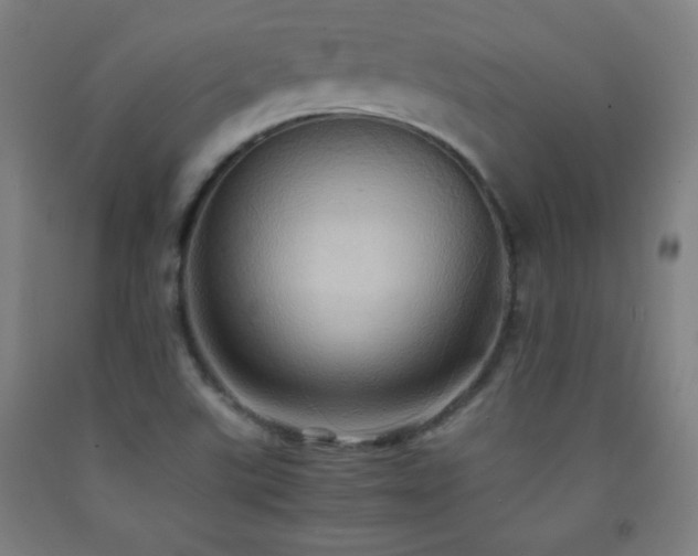 X0000093241507200709261657
