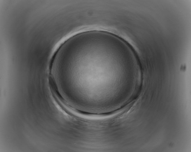 X0000093241508200709261657