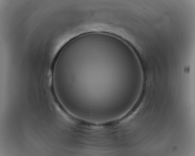 X0000093241509200709261657